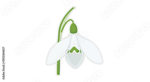 Elegant graphic illustration of a pristine snowdrop flower, symbolizing purity, hope, and the gentle arrival of spring's tender embrace and renewal.