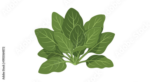 A lush cluster of vibrant green spinach leaves, freshly depicted in a charming illustration, embodying health and vitality for wholesome culinary