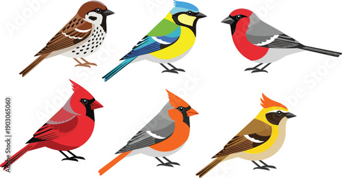 Collection of colorful garden bird illustrations including northern cardinal, sparrow, blue tit, and bullfinch isolated on white background for nature and wildlife design.