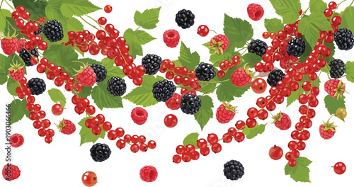 Freshly picked red currants, ripe raspberries, and juicy blackberries with green leaves on stems