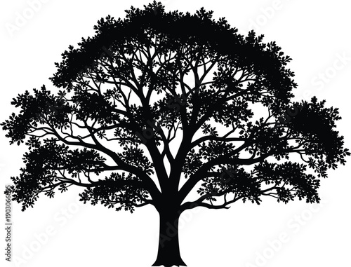 Detailed black silhouette vector illustration of a large majestic oak tree with spreading branches isolated on white background for nature and landscape design.