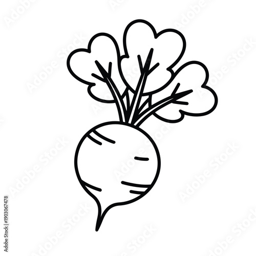 Simple line drawing of a radish with green leaves and a root