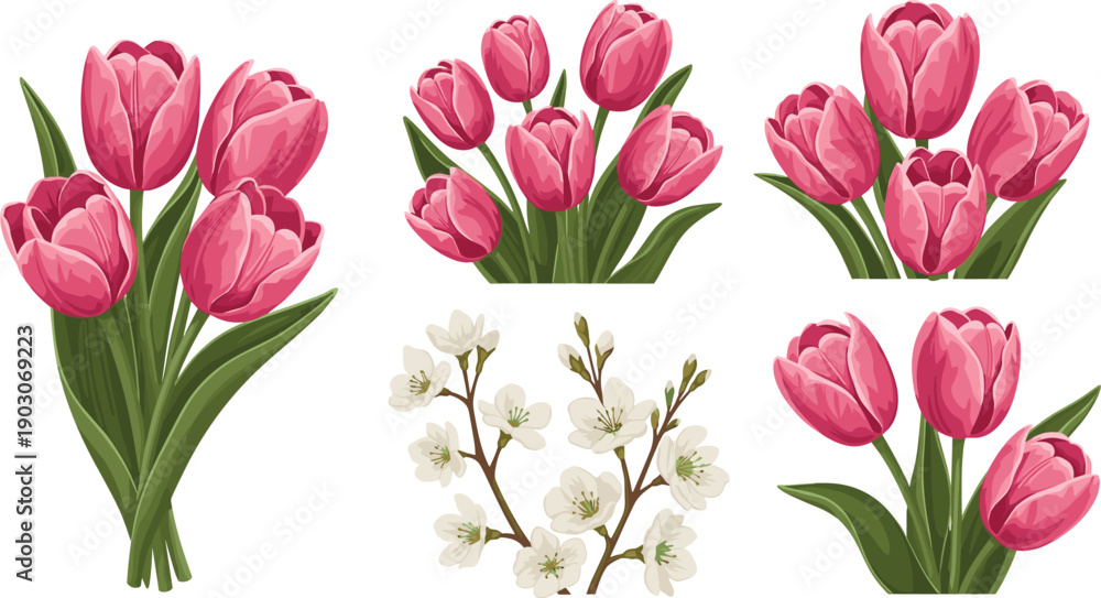 Obraz premium Pink tulip flower bouquet vector set, spring floral collection, botanical illustrations, isolated on white background, decorative nature elements