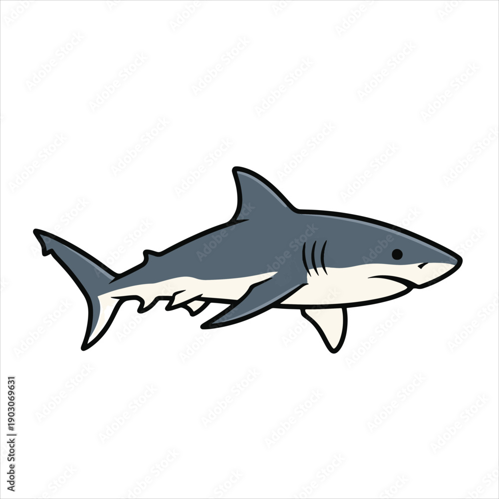 Obraz premium shark vector illustration design