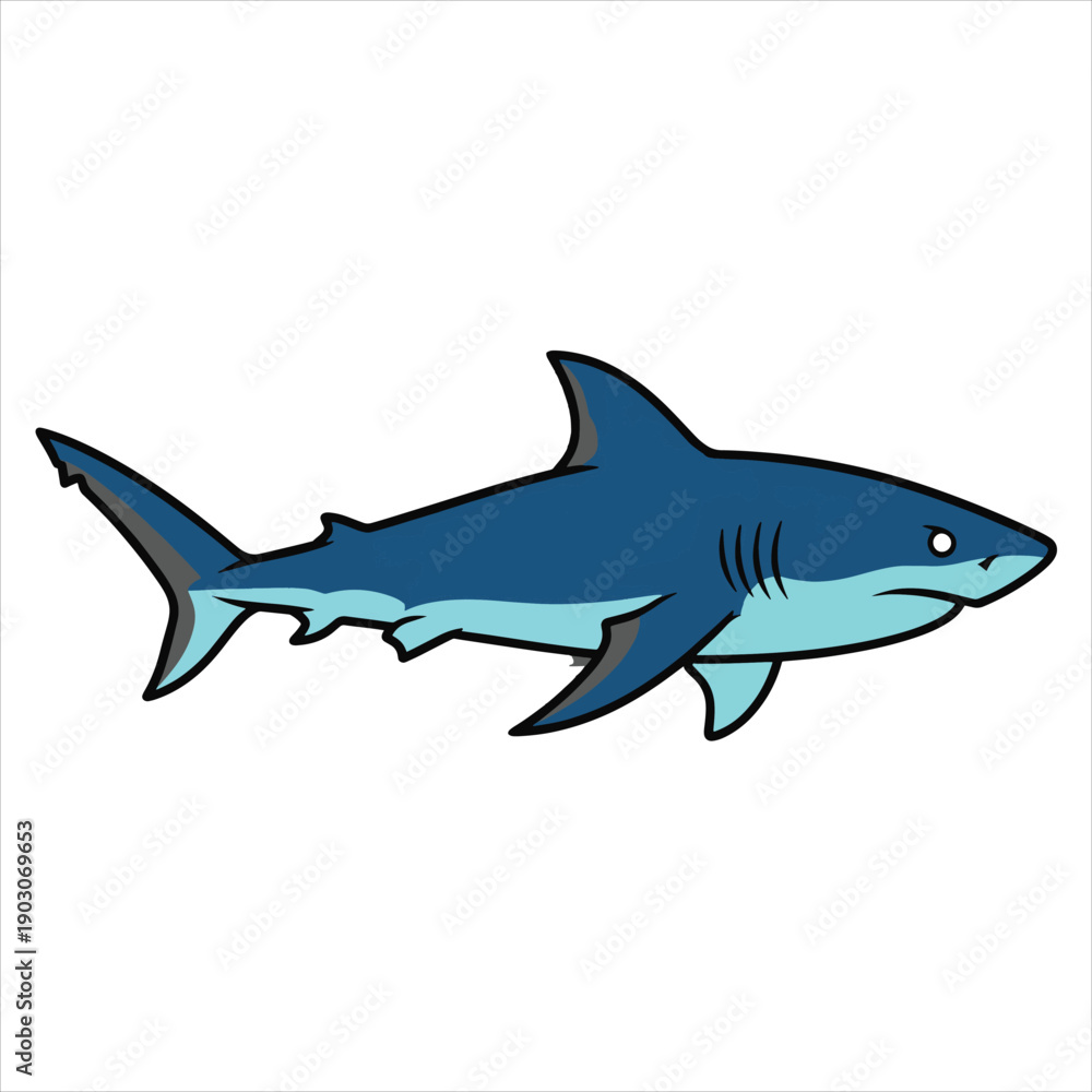Obraz premium A beautiful shark illustration vector art