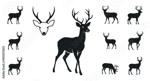 Collection of Deer Silhouettes and Antlers Vector Graphics.