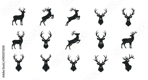 Collection of Deer Silhouettes and Antlered Heads.