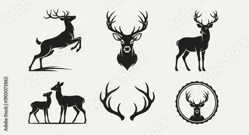 Collection of Deer Silhouettes and Antlers Vector Graphics.