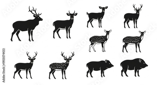 Collection of Deer and Wild Boar Silhouettes.