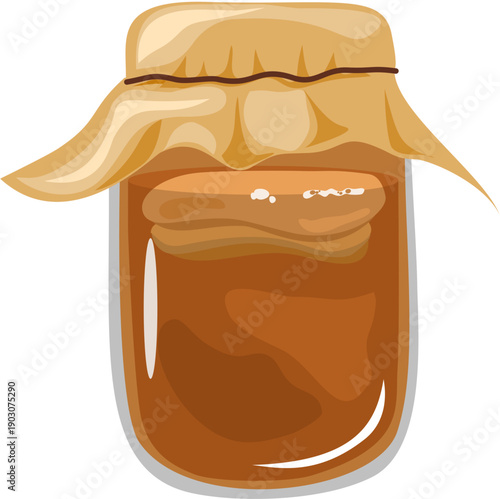 Kombucha Fermentation Illustration in Glass Jar