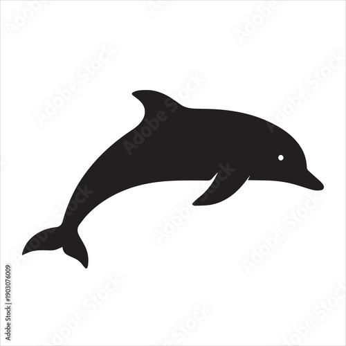 Wallpaper Mural dolphin isolated on white background Torontodigital.ca