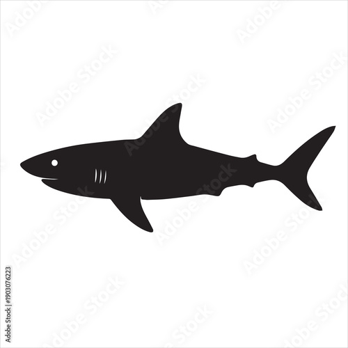 Shark illustration vector silhouette