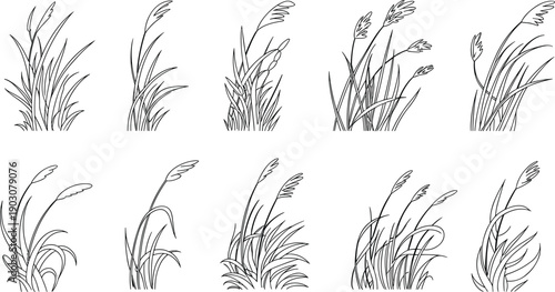 Collection of ten black line of various grass stalks and reeds swaying in the wind line black and white