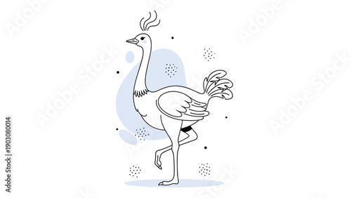 Elegant ostrich or rhea standing on one leg in a simple line art style with abstract elements for nature and wildlife.