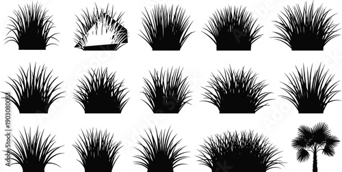 Decorative Grass Silhouettes Collection, Ornamental Garden Plants Vector Set, Landscaping Shrub Graphics, Tropical Palm Tree Icon, Backyard Foliage Design Elements
