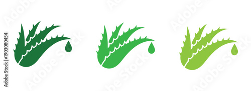 Aloe vera leaf icons in different green shades with water droplet. Aloe vera plant and leaf icons Vector. 
