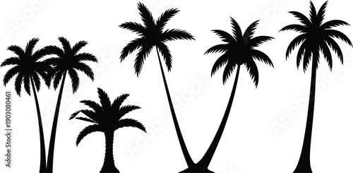 Five black silhouette palm trees with different heights and crown formations arranged on a white background