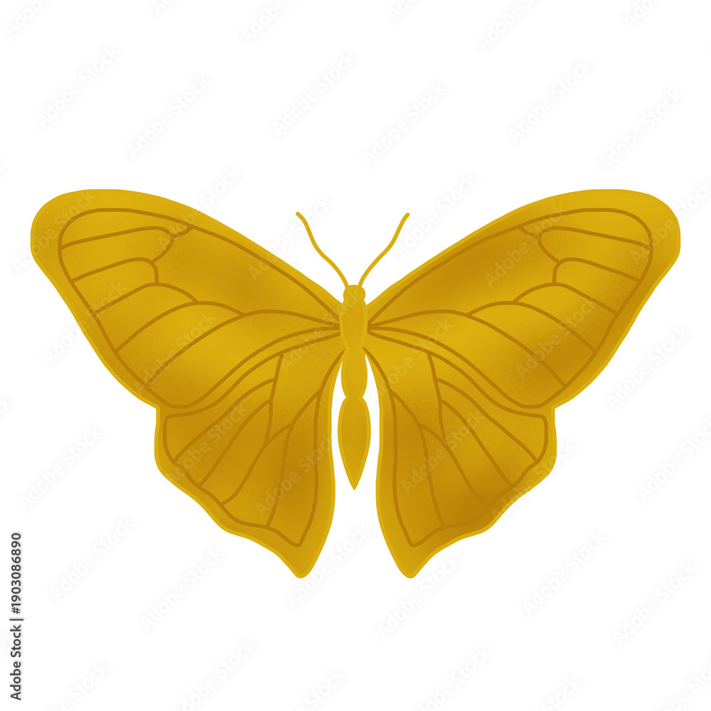 Fototapeta premium Luxury gold butterfly illustration with subtle gradients and fine wing vein details creating dimensional elegance. Perfect for premium graphics and decorative designs.