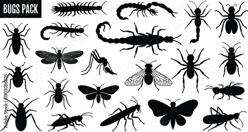 Bug silhouette collection vector, insect pack illustration, black arthropod icons, creepy crawler set, wildlife entomology design isolated graphic elements