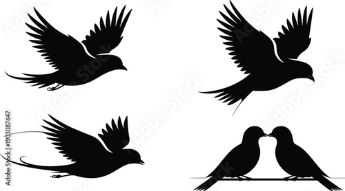 Flying bird silhouettes vector illustration, love birds outline, pigeon or dove shapes, minimal wildlife graphic, black isolated avian artwork