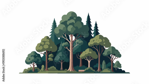 Illustration of a diverse forest landscape with various trees on a white background, showcasing different green hues and foliage.