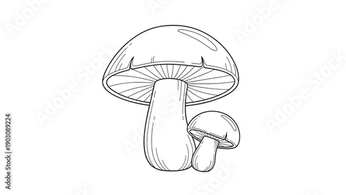 A delightful coloring page featuring a pair of wild mushrooms, one large and one small, growing together in the forest.