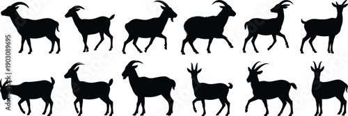 Goat silhouettes set featuring multiple poses walking standing grazing isolated on white background for farm livestock design use