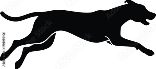 Abstract black shapes on a white background resembling organic forms