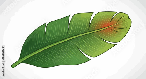 Vibrant green stylized tropical leaf illustration with subtle reddish accent on white background