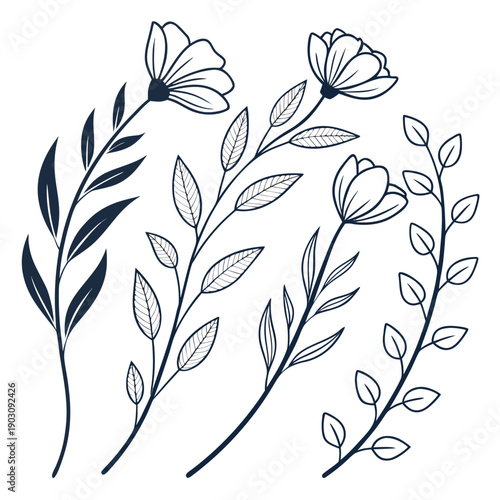 Billede på lærred Delicate line drawing of various leafy plants and flowers in a monochromatic sty
