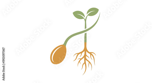 Stylized Seed Germination Logo Icon. Vector illustration of a young plant sprout with leaves and root system, symbolizing growth, ecology, and new beginnings.