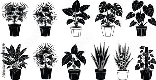 Professional remote workspace with laptop on wooden desk, morning coffee and green plants, digital nomad home office lifestyle for freelancers,