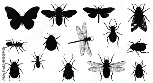 Set of Insect Icons