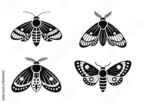 Four Stylized Black Moth Silhouettes on White Background