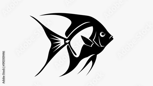 Black and white angel fish illustration against light background