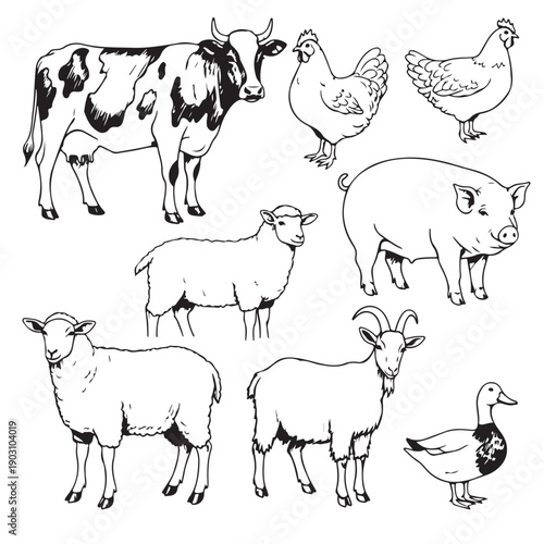 Farm Animals Collection Vector Silhouettes of Cow Sheep Pig Goat Chicken
