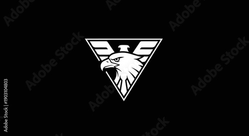 Bold eagle emblem graphic against a black backdrop for symbolism and design