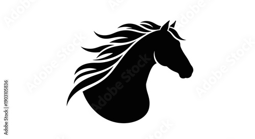 Black horse silhouette elegant profile of a majestic animal on white background