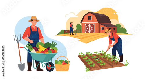 Hardworking farmers collect fresh vegetables and work in the fields near a red barn during the harvest season at a rural countryside farm.