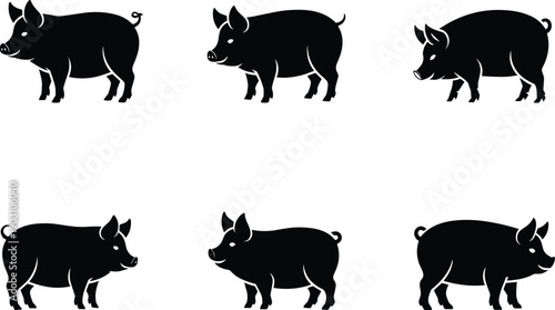 Set of pig silhouettes in different standing poses isolated on white background, farm animal collection for agriculture themes, livestock branding, butcher shops, 