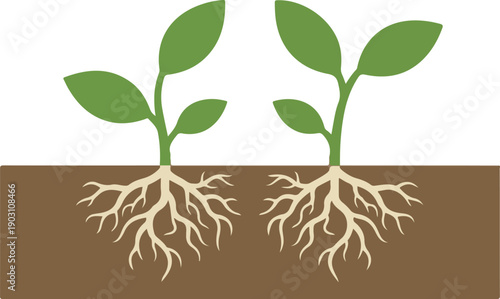 Green plant sprouts with roots in brown soil, vector illustration isolated on white