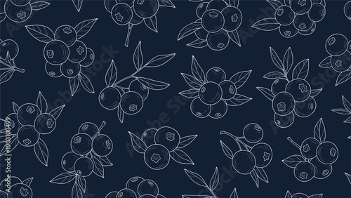 Sophisticated seamless pattern features white line art sketches of blueberries and leaves repeated on a deep navy blue background.
