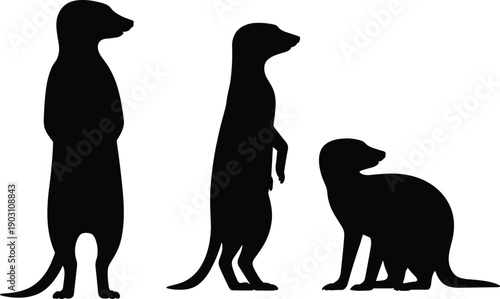 Meerkat silhouette set standing upright and crouching poses isolated on white background black animal vector illustration for wildlife design