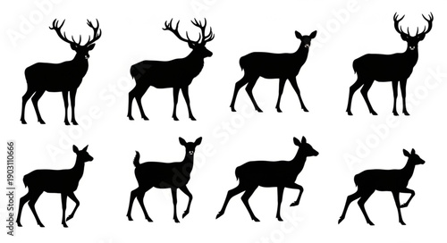 Collection of Deer Silhouettes in Various Poses.