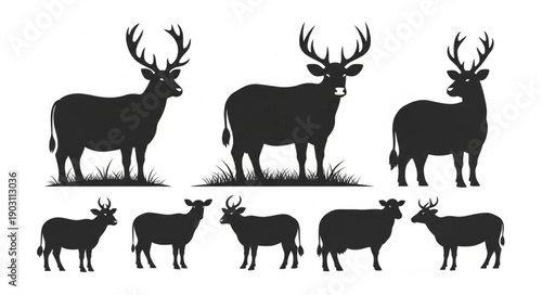 Collection of Deer Silhouettes Standing on Grass.