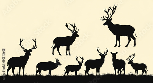 Collection of Deer Silhouettes Standing in a Field.