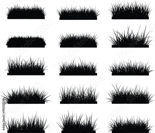 Variations in grass density and height across twelve different visual samples