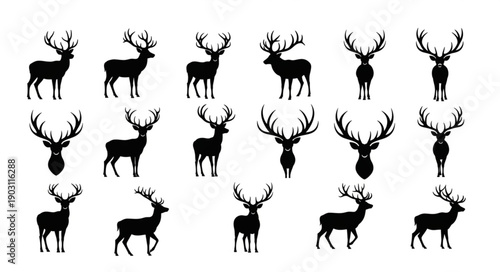 Collection of Deer Silhouettes with Antlers.