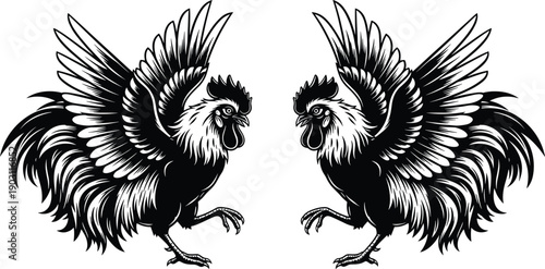Black and white rooster vector illustration pair with spread wings and detailed feathers isolated on white background, perfect for farm, poultry, and mascot designs.