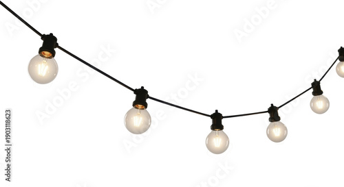 String lights PNG isolated on transparent background, decorative outdoor lighting for parties and events, festive garland with round bulbs